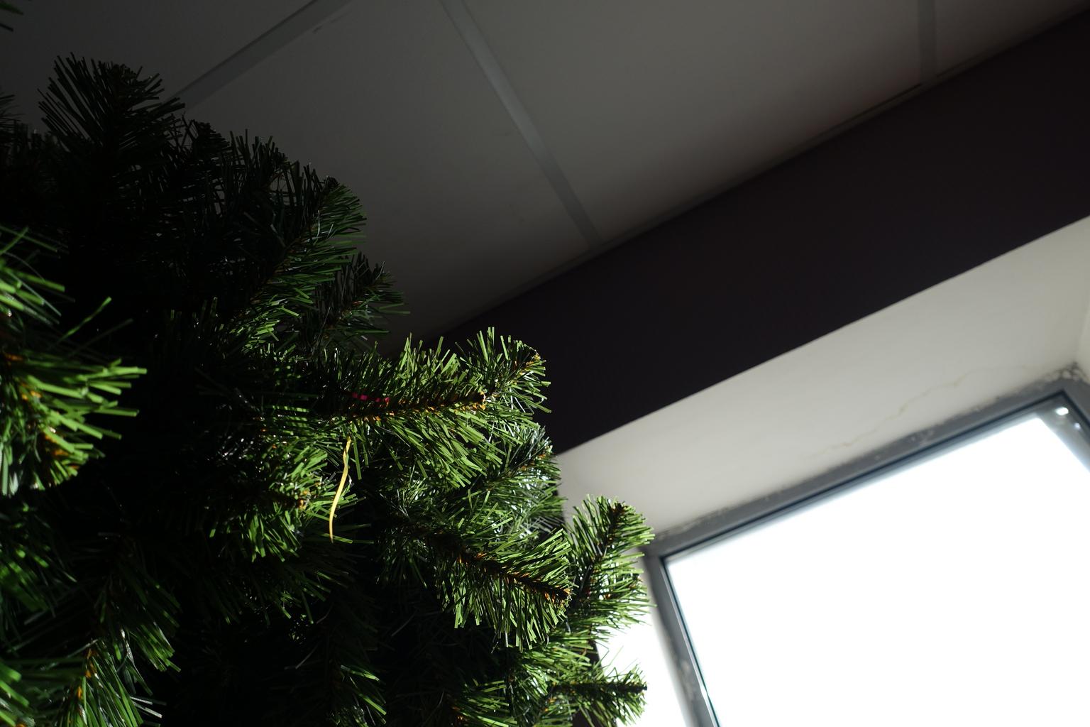 plastové okno, ihličie